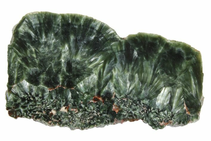 Polished Seraphinite Slab - Siberia #174852